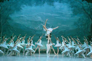 Ellagodeloscisnes Ellagodeloscisnes