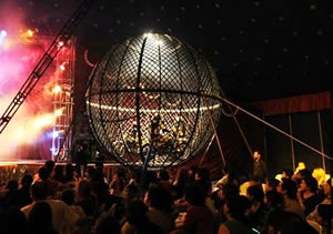 Llega el Circo Internacional Las Estrellas de México